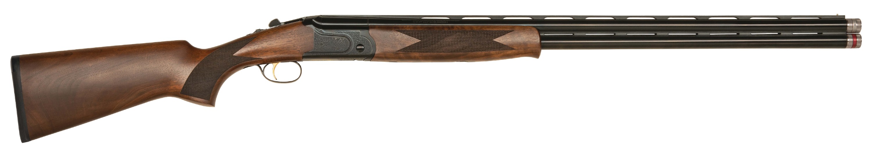 International Gold Reserve